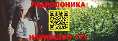 прущие крисы Краснодар