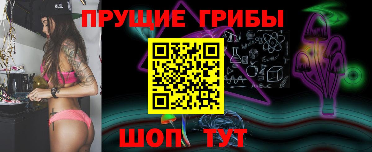 Псилоцибиновые грибы Cubensis Ивантеевка