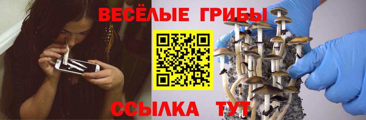 Псилоцибиновые грибы Psilocybine cubensis  закладка  Ивантеевка  Псилоцибиновые грибы мицелий  Вход с VPN 